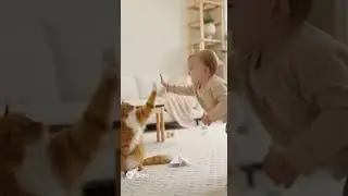 A paper airplane