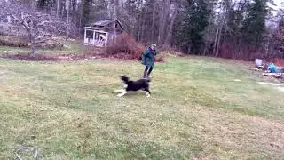 Gem and Frisbee