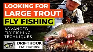 Looking for Large Trout Fly Fishing