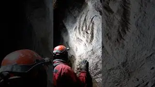 Cave Survey Reveals Claw Marks High on Stone Walls