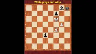 WHITE PLAYS AND WINS THIS INTERESTING ENDING