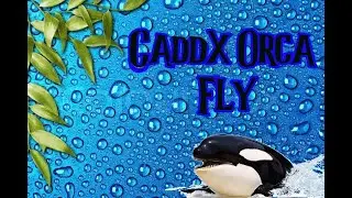 Caddx Orca 4k Fly