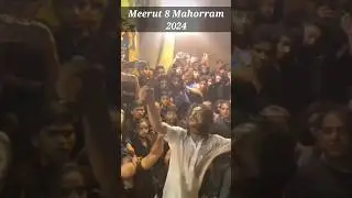 Meerut 8 Muharram Talwar ka Matam #2024 You tube 2024 Muharram viral Video #