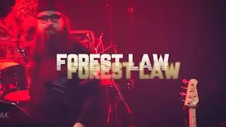 The Terminal - Forest Law (live)