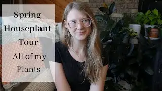 Spring Houseplant tour | All of my Plants