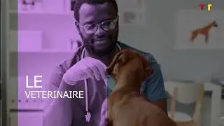 DOCUMENTAIRE LE VETERINAIRE