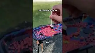 I discovered the most genius invention 😱🔗Order link In Bio 🌟😮&zwj;🍃
