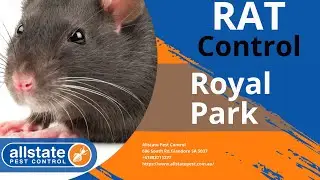 Rat Control Royal Park