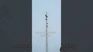 get a internet connection #fiber #funny #shorts #youtubeshorts