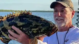 2025 Fishing Review