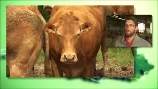 Reportage Jean Baptiste BOUVET Région ALPC
