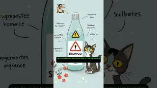 Dog & Cat Bathing: Should You Use Human Shampoo?  #doghealth #healthypets #catcare