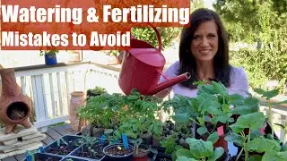 Mistakes NOT to Make When Watering & Fertilizing Indoor Vegetable Seedlings/Spring Garden Series #3