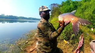 Manjeera River Fishing | King Size Rohu Fish Catching | Hyderabad Fishing