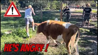 I have BEEF with @TylerNolan 's new Bull 😂
