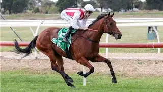 Flemington Racing Preview ! (04/06/22) | Sky High Horse Racing