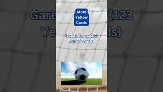 Who has the most yellow cards in Premier League history?