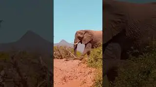 Explore Namibia #namibia #nature