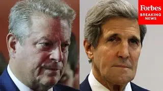 'Hypocrite!': John Kerry, Al Gore Called Out By Witness During ESG Hearing