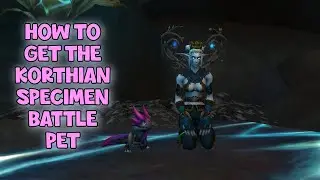 WoW Shadowlands 9.1 - How To Get The Korthian Specimen Battle Pet | Zelnithop Rare | Korthia