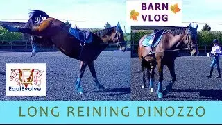 How To Long Rein A Horse with Special Agent DiNozzo