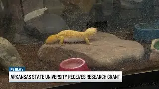 Arkansas State University receives $600,000 grant for reptile research