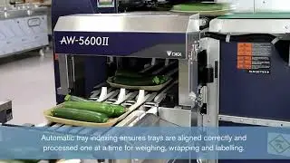 Wedderburn - Digi Wrapper Weigh Wrap Price Label System