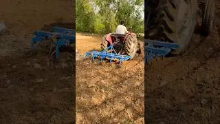 Massey 35 #shortvideo #shorts
