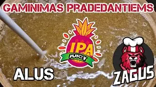 Gaminimas Pradedantiems: Alus