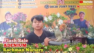 🔴 Live Flash Sale Adenium Bunga tumpuk Dan karakter (19 Januari 2026)
#Rachmannursery #Adenium