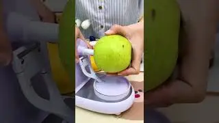 ✅ Product Link in Bio ( # 2531 ) - Automatic Fruit Peeler Machine