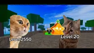 Noobcat Playing Blox Fruits