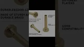 Cheerock Gold Plated Bugle Showcase