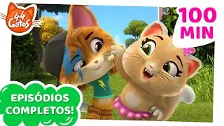 44 Gatos | 8 EPIS&Oacute;DIOS COMPLETOS! 😺 Buffycats: amigos fant&aacute;sticos! 🌈🤗