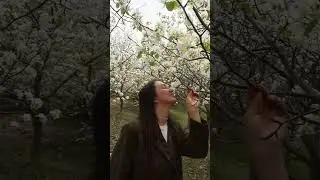Spring in China ❣️ #китай #чанчунь #жизньвкитае #образованиевкитае #студентывкитае #studyinchina