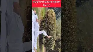 सर्दियों में पैरों को गरम रखें | Winter Feet Warm Yoga Part-5 | #keshariyog #healthylifestyle