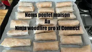 Nems poulet maison avec le Ninja woodfire Connect pro xl