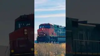 CN Intermodal Train Rumbling Through Plainfield