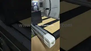 Automatic paper cardboard carton box ink jet printing machine with conveying system  ink jet printer