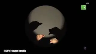 23 فبراير 2025
