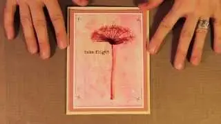 Studio SN: Inking & Stamping Acetate with Clearsnap Surfacez