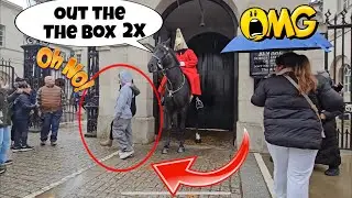 Stubborn Tourist Warned Twice &mdash; Guard Finally Moves Horse!