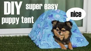 DIY a pet tent with household items.#diy #pets