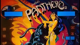 R&Eacute;NOVATION BACKGLASS FLIPPER Pinball Gottlieb Panthera