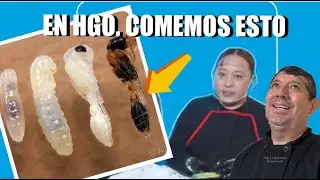 &ldquo;ANT EGGS, GRASSHOPPERS AND MORE BUGS 🐜 WHAT MEXICANS DO EAT&rdquo;