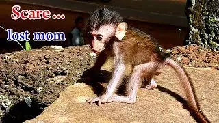 Deep afraid.. Baby Daniela feel nervous cos lost mom | Why Dana leave her baby like this