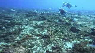 Just underwater