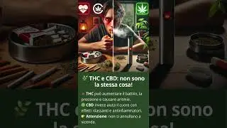 Fumare cannabis fa davvero male al cuore?