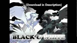 Pokemon Black and White 
