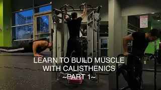 Learn To Build Muscle With Calisthenics &mdash; Part 1